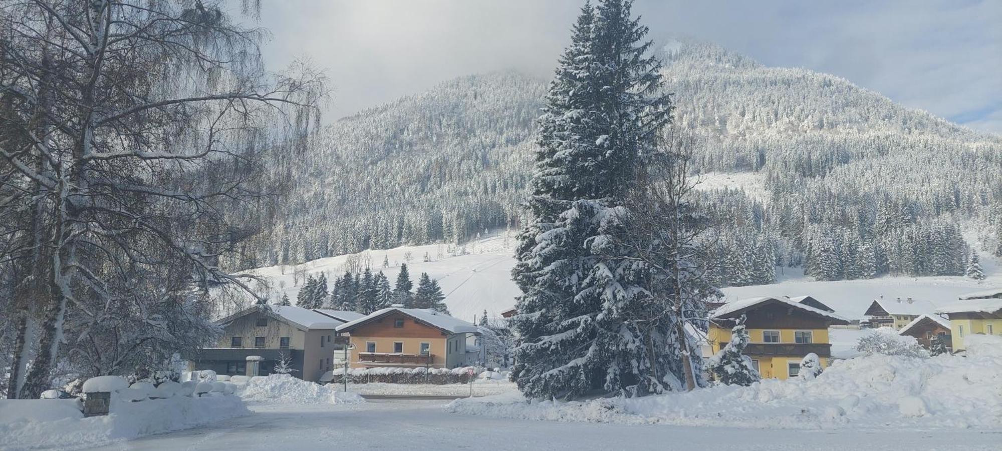 Appartements Haus Bergland ซังต์ มาร์ติน อัม เทนเนนเกอเบียร์เกอ ภายนอก รูปภาพ
