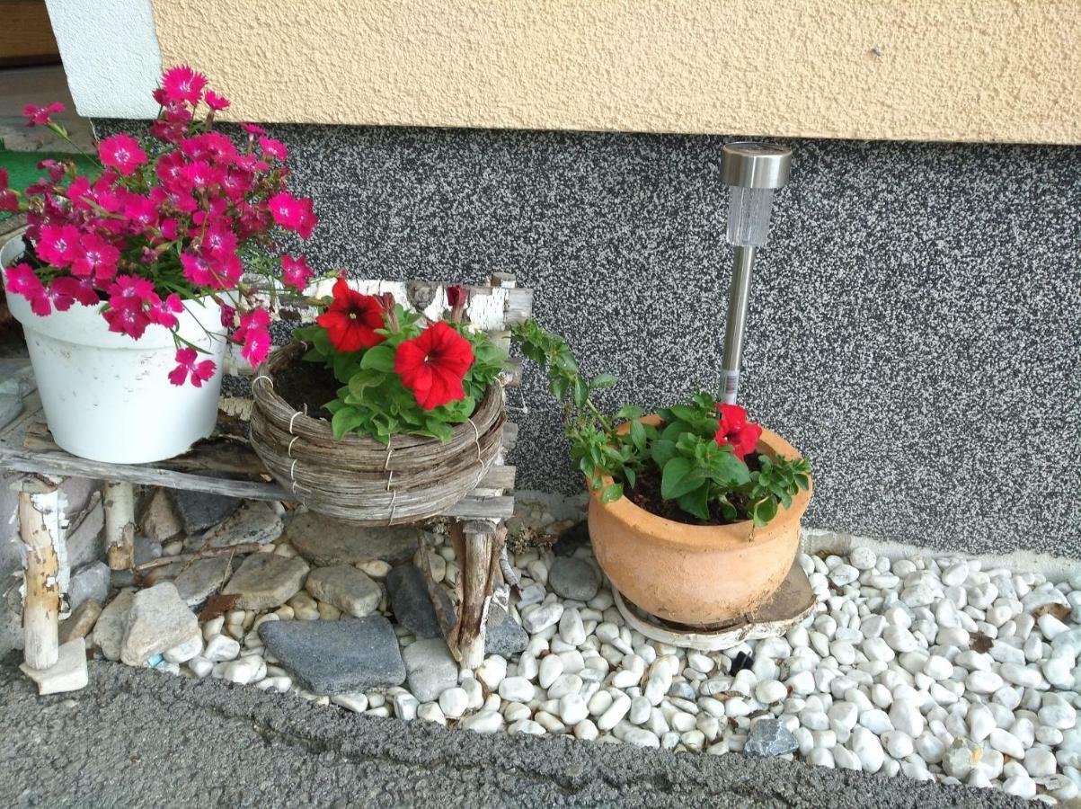 Appartements Haus Bergland ซังต์ มาร์ติน อัม เทนเนนเกอเบียร์เกอ ภายนอก รูปภาพ